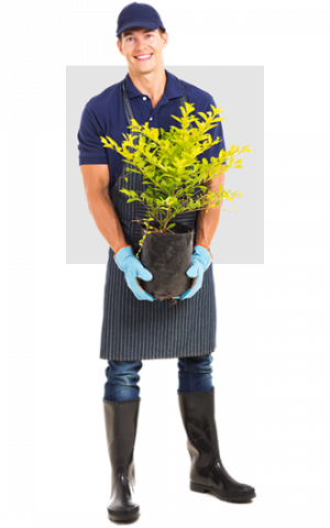 jardinero
